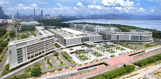 水蜜桃视频在线观看工程案例之香港大学深圳医院